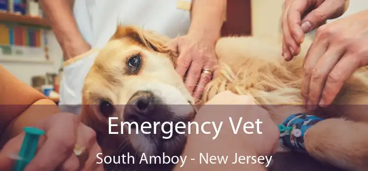 Emergency Vet South Amboy - New Jersey