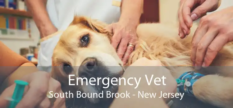 Emergency Vet South Bound Brook - New Jersey