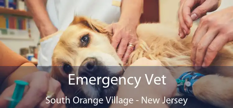 Emergency Vet South Orange Village - New Jersey