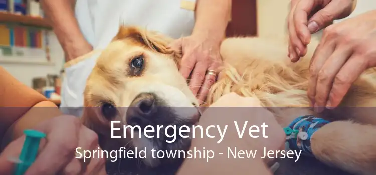 Emergency Vet Springfield township - New Jersey