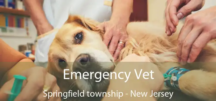 Emergency Vet Springfield township - New Jersey