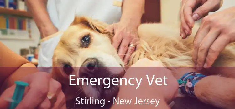 Emergency Vet Stirling - New Jersey