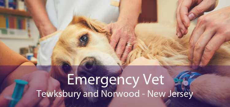 Emergency Vet Tewksbury and Norwood - New Jersey