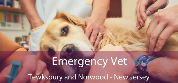 Emergency Vet Tewksbury and Norwood - New Jersey