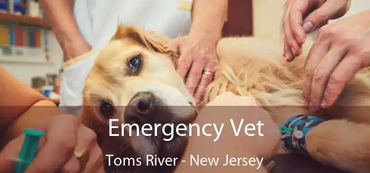 Emergency Vet Toms River - New Jersey