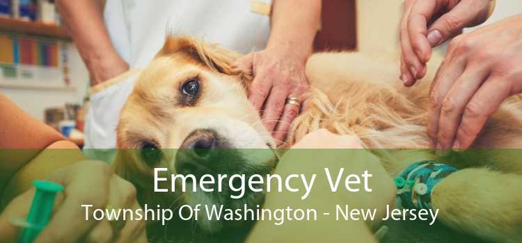 Emergency Vet Township Of Washington - New Jersey