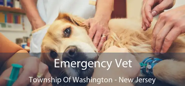 Emergency Vet Township Of Washington - New Jersey