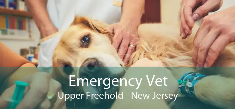 Emergency Vet Upper Freehold - New Jersey