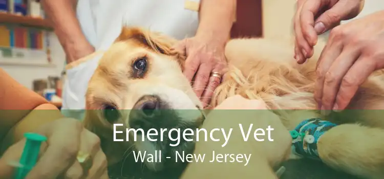 Emergency Vet Wall - New Jersey