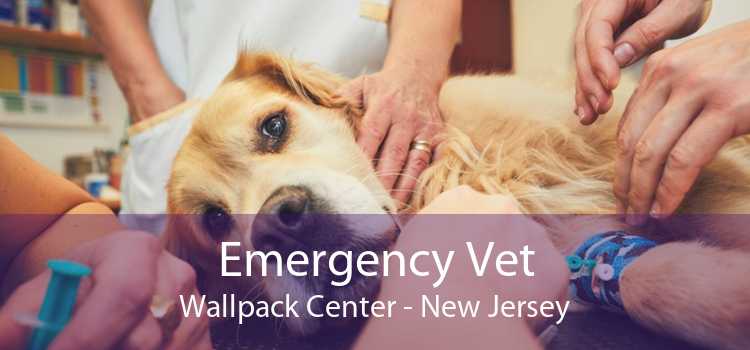 Emergency Vet Wallpack Center - New Jersey