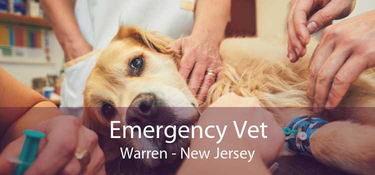 Emergency Vet Warren - New Jersey
