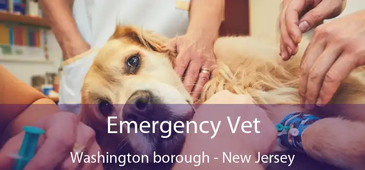 Emergency Vet Washington borough - New Jersey