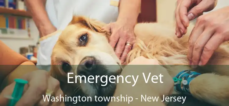 Emergency Vet Washington township - New Jersey