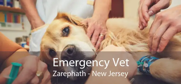 Emergency Vet Zarephath - New Jersey