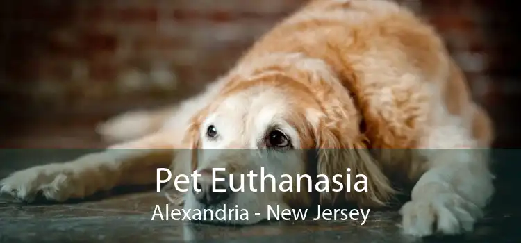 Pet Euthanasia Alexandria - New Jersey