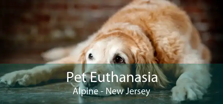 Pet Euthanasia Alpine - New Jersey