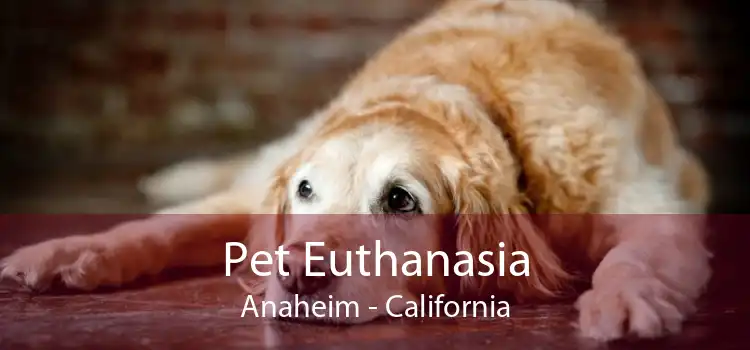Pet Euthanasia Anaheim - California