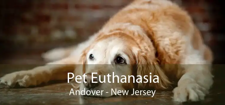 Pet Euthanasia Andover - New Jersey