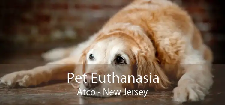 Pet Euthanasia Atco - New Jersey