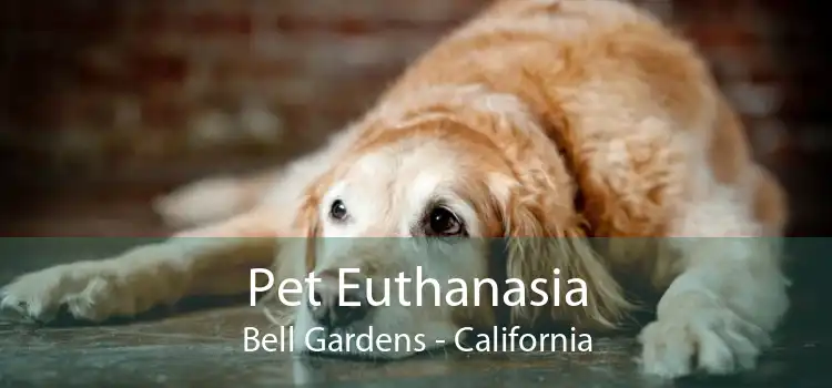 Pet Euthanasia Bell Gardens - California
