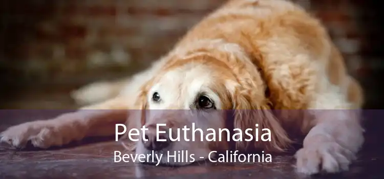 Pet Euthanasia Beverly Hills - California