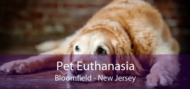 Pet Euthanasia Bloomfield - New Jersey