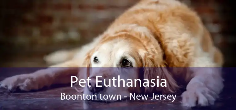 Pet Euthanasia Boonton town - New Jersey