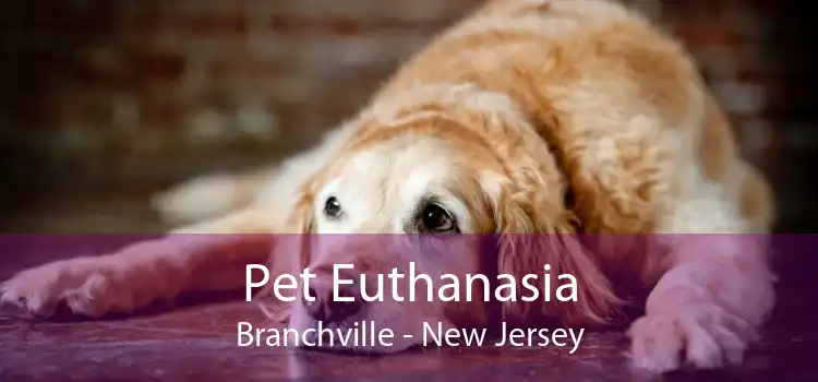 Pet Euthanasia Branchville - New Jersey