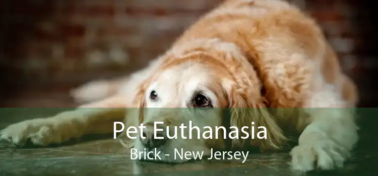 Pet Euthanasia Brick - New Jersey