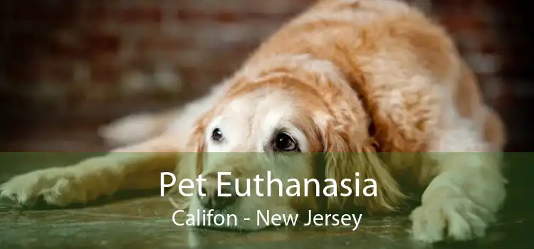 Pet Euthanasia Califon - New Jersey