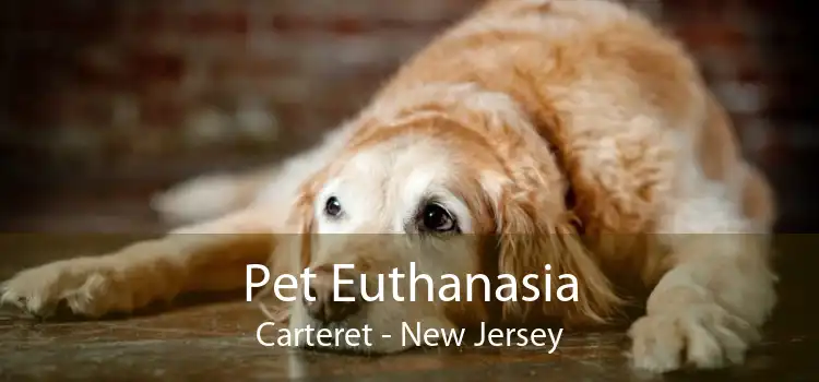 Pet Euthanasia Carteret - New Jersey