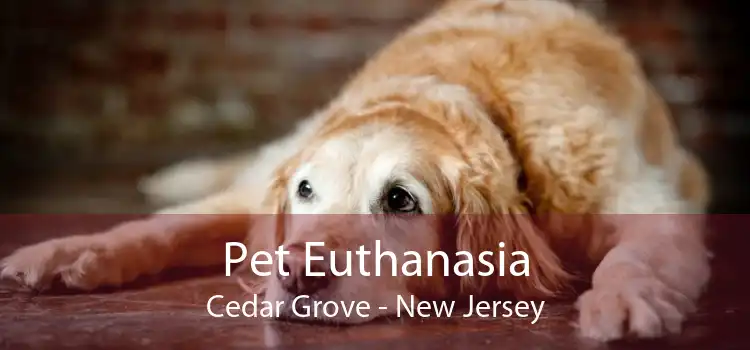 Pet Euthanasia Cedar Grove - New Jersey