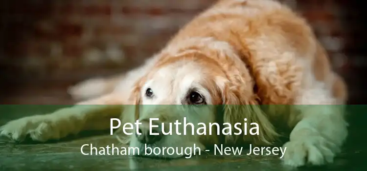 Pet Euthanasia Chatham borough - New Jersey