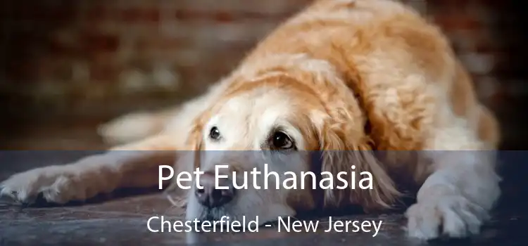 Pet Euthanasia Chesterfield - New Jersey