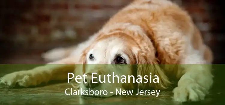 Pet Euthanasia Clarksboro - New Jersey