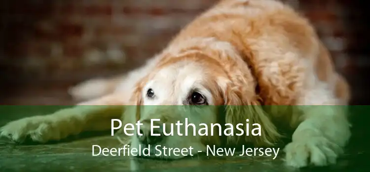 Pet Euthanasia Deerfield Street - New Jersey
