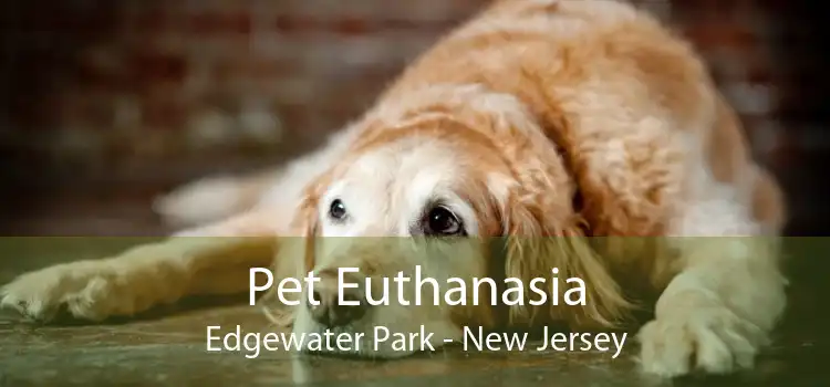 Pet Euthanasia Edgewater Park - New Jersey