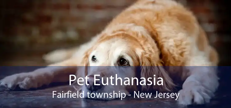 Pet Euthanasia Fairfield township - New Jersey