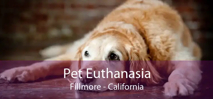 Pet Euthanasia Fillmore - California
