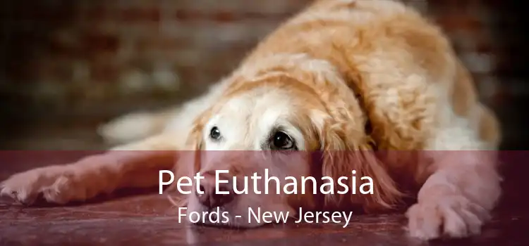 Pet Euthanasia Fords - New Jersey