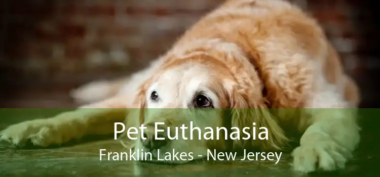 Pet Euthanasia Franklin Lakes - New Jersey