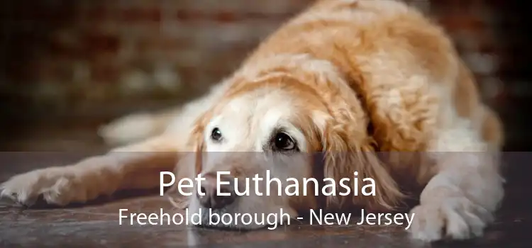 Pet Euthanasia Freehold borough - New Jersey