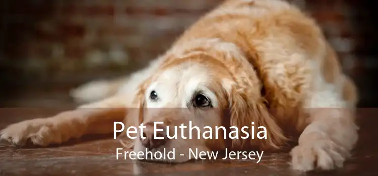 Pet Euthanasia Freehold - New Jersey