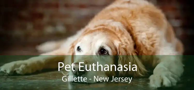 Pet Euthanasia Gillette - New Jersey