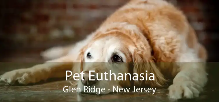 Pet Euthanasia Glen Ridge - New Jersey