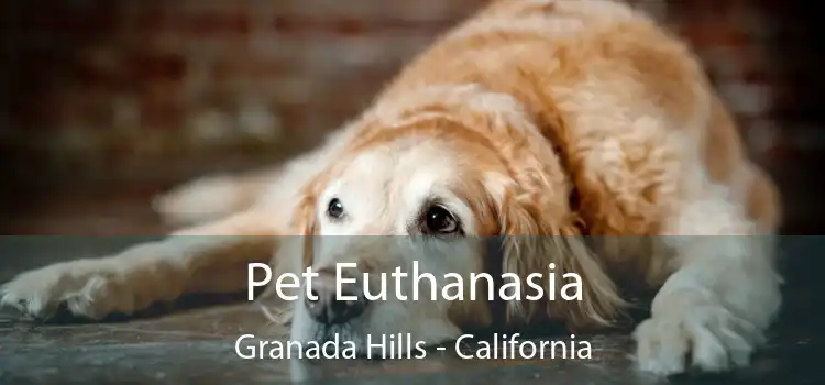 Pet Euthanasia Granada Hills - California