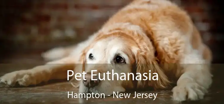 Pet Euthanasia Hampton - New Jersey