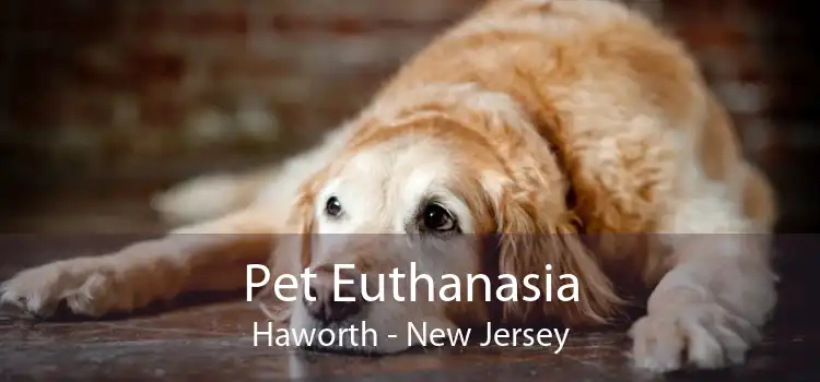 Pet Euthanasia Haworth - New Jersey