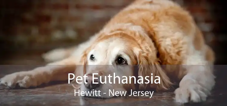 Pet Euthanasia Hewitt - New Jersey