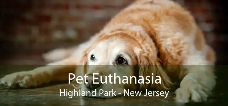 Pet Euthanasia Highland Park - New Jersey